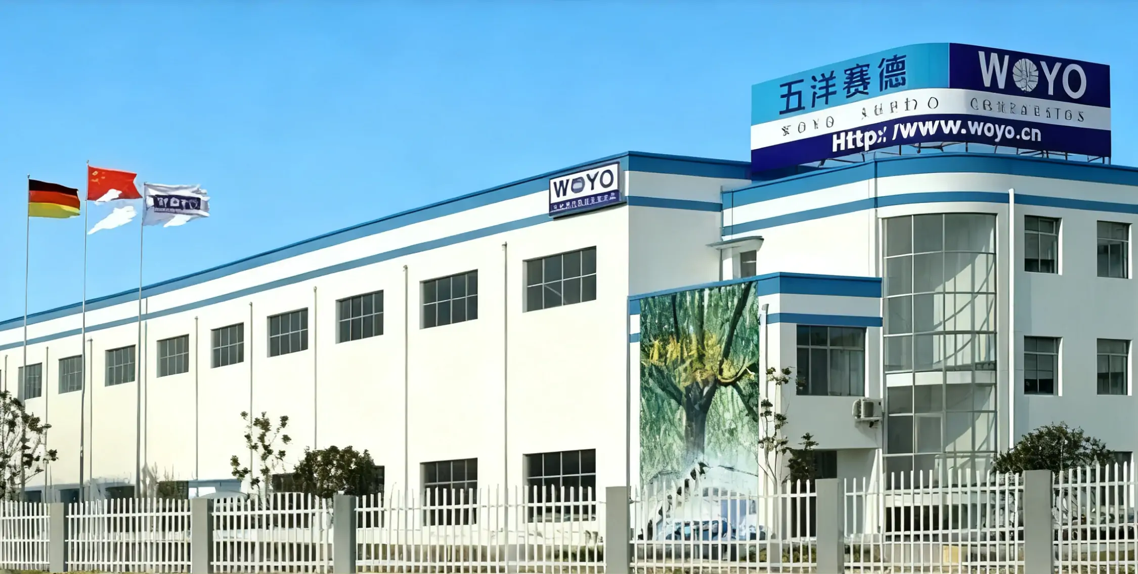 五洋赛德公司